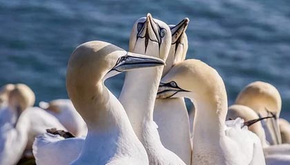 美国原油期货收涨超1.7%，供应改善使得欧洲天然气期货跌超1%