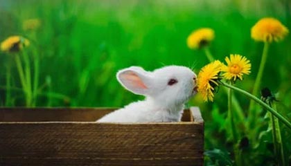 美国原油期货收涨约1.2%，报66.03美元/桶