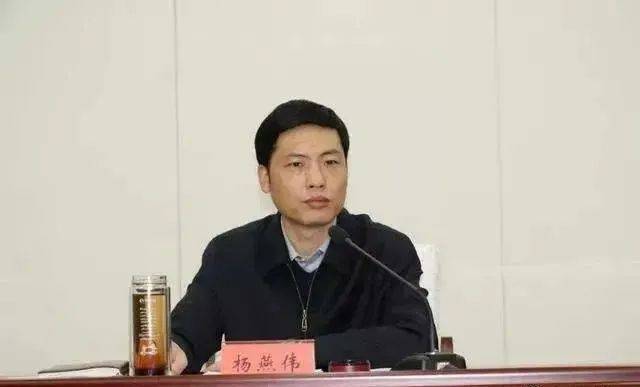 官宣!厅长杨燕伟被查