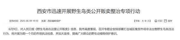《人民日报》曝光问题后,陕西省委书记调研检查野生动物保护工作