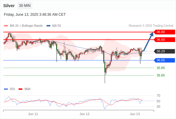 每日策略：06/13 外汇黄金原油行情分析