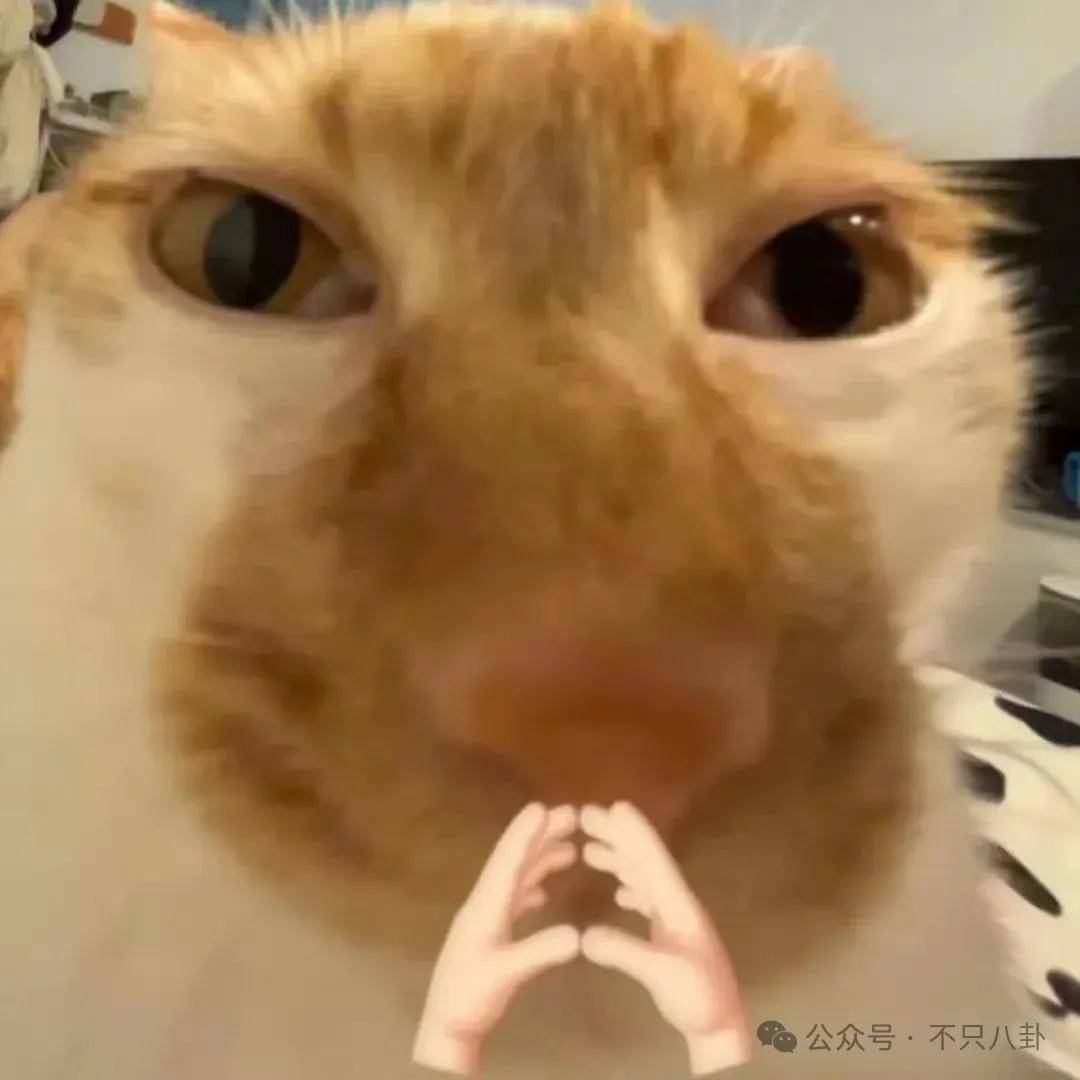 让46岁的老婆给他生二胎？这姐别是又跳进一个火坑了吧……