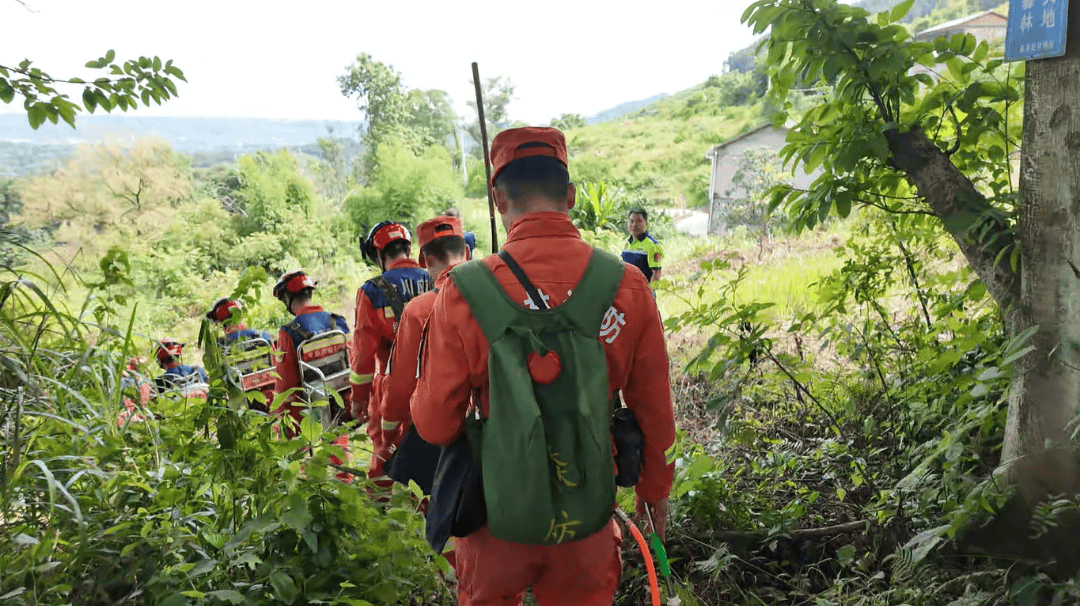 川渝两地联合巡林 共筑长江上游“绿色长城”