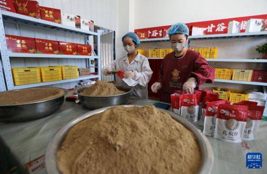 甘谷花椒 助农增收