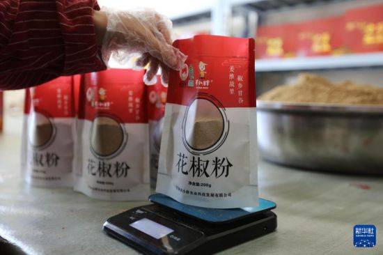 甘谷花椒 助农增收