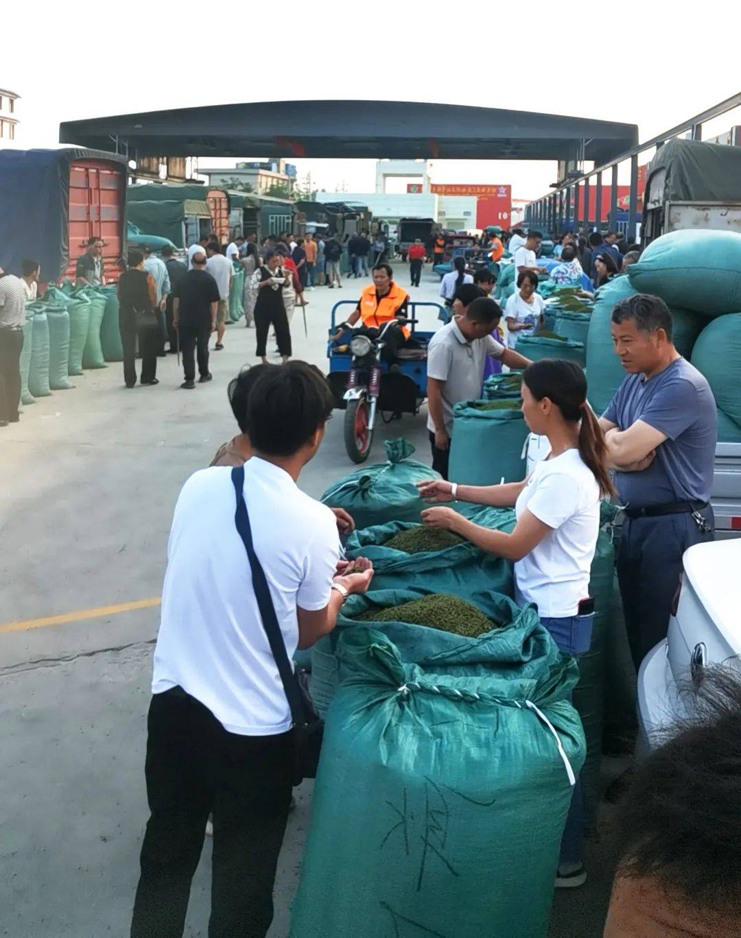首届昭通青花椒推介会在融兴花椒市场隆重召开