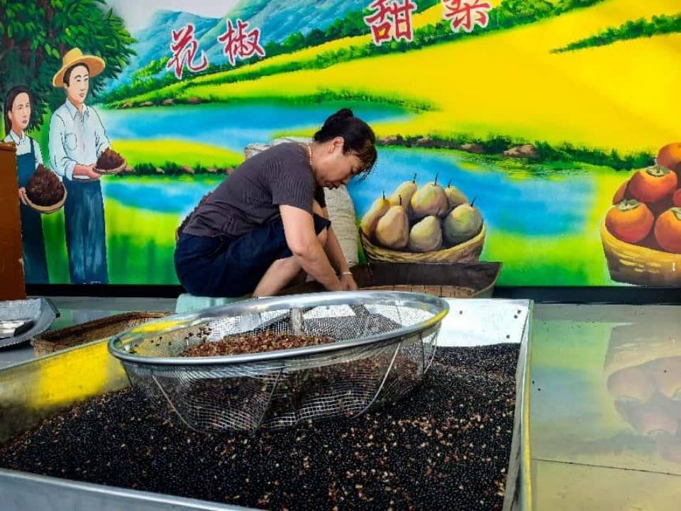 山沟里飘出“花椒香”