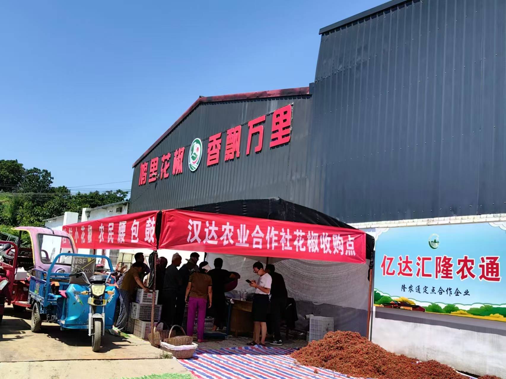 花椒飘香，“党建 + 产业”引领乡村新发展