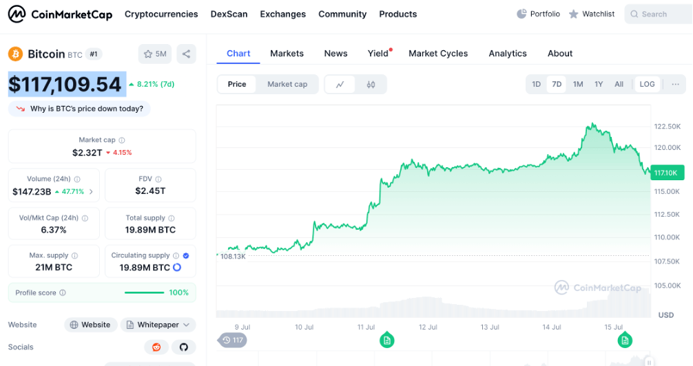 比特币价格首破12万美元/枚 再创历史新高