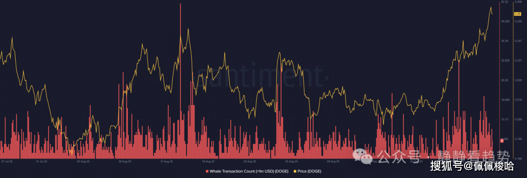 巨鲸疯狂吸筹！狗狗币ETF上市前夜，暴涨行情一触即发？