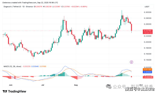 “别错过！推动狗狗币（DOGE)上涨的‘神秘规律’再次应验，下一步怎么走？”“狗狗币还要涨？