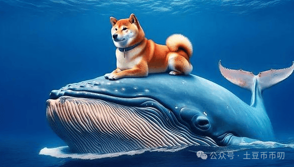 7月狗狗币（DOGE）行情牛起！0.17美元暴涨58% or 血崩30%？