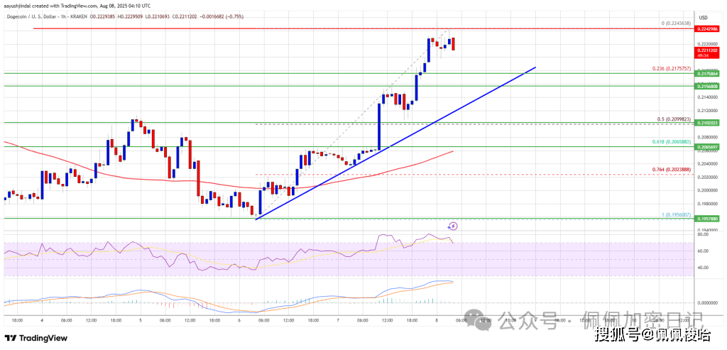 狗狗币(DOGE)强劲上涨——暴涨在即?