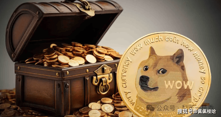 狗狗币（DOGE）未平仓合约突破 60 亿美元！价格冲击 0.3，美梦还是陷阱？