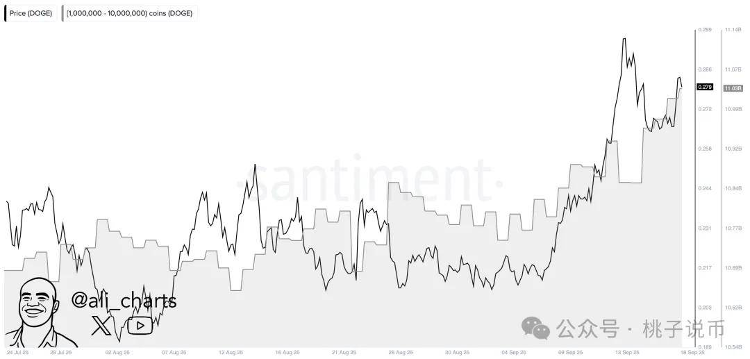 狗狗币逼近0.29美元阻力：平行通道突破或推价格至0.36-0.45美元