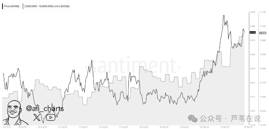 DOGE鲸鱼又加仓1.58亿枚！到底什么原因？狗狗币价格将涨至0.45美元！