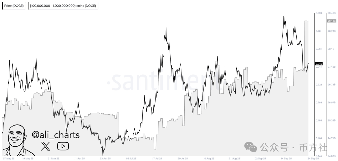 狗狗币价格预测:关键支撑成多空博弈点,巨鲸与ETF突发新消息,暴涨还是暴跌?