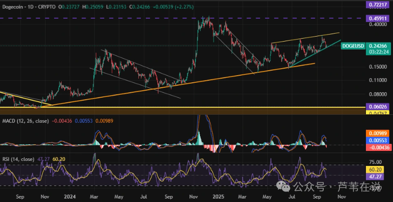 DOGE价格预测:狗狗币清算17亿后触底反弹,散户恐慌,巨鲸吸筹!要暴涨了吗?