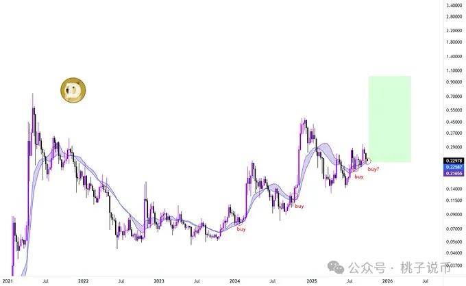 巨鲸沉默吸筹，ETF概率超99%：狗狗币的“上帝蜡烛”只差最后一根火柴？