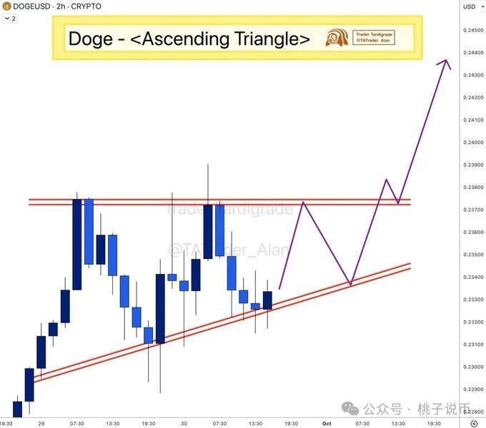 巨鲸沉默吸筹，ETF概率超99%：狗狗币的“上帝蜡烛”只差最后一根火柴？