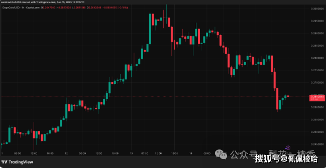 狗狗币的火箭要升空了？美国首个DOGE ETF获批，本周准备迎接两位数行情的惊喜了吗？