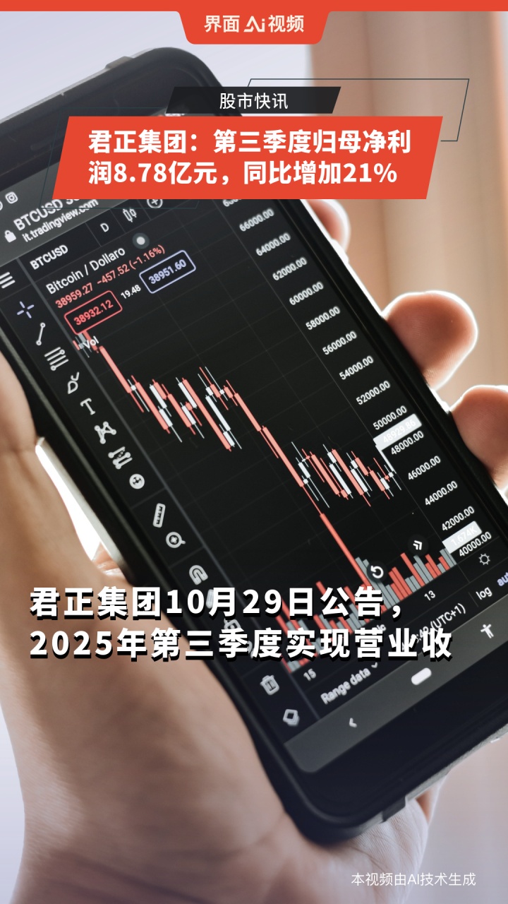 君正集团股票(北京君正集团股票)