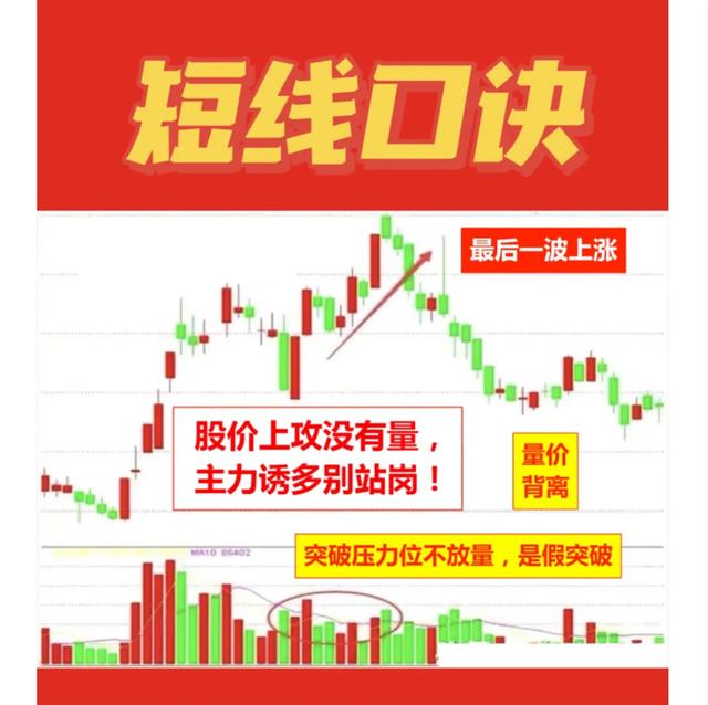 选股票(选股票市盈率多少合适)