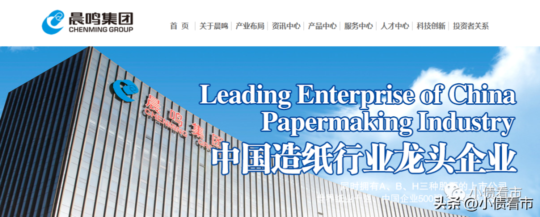 晨鸣纸业股票(晨鸣纸业股票A股)