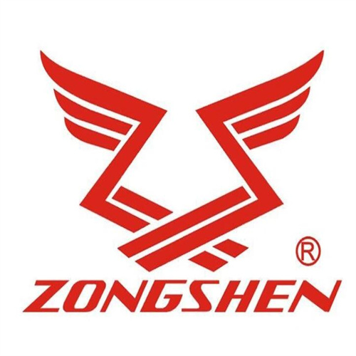 宗申动力股票(宗申动力股票什么时候分红)