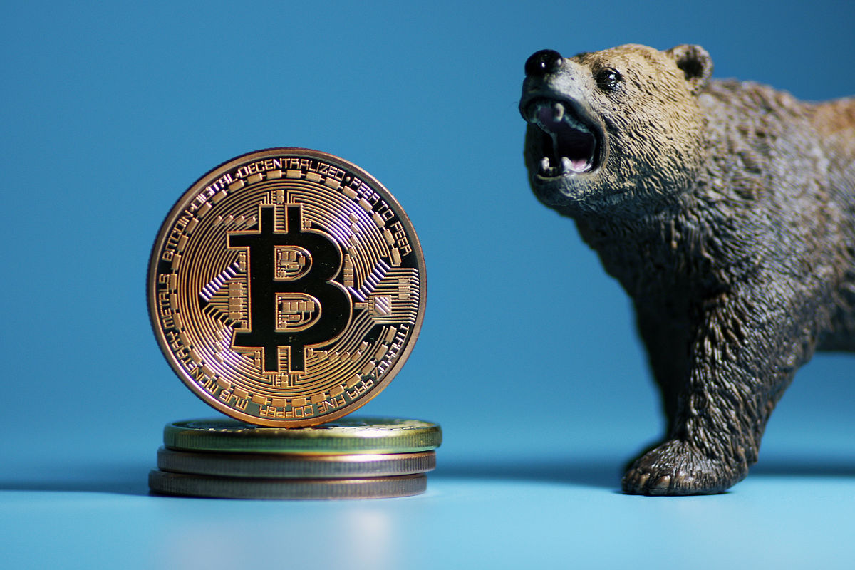 新的虚拟币(新的虚拟币有哪些)