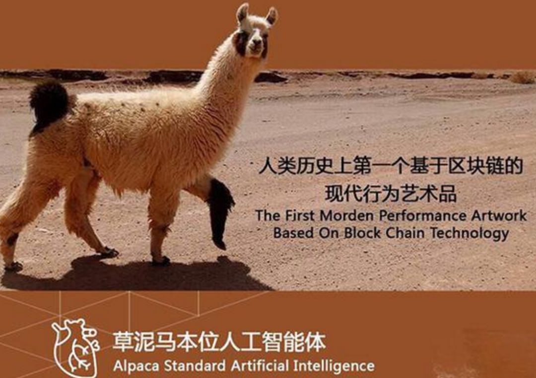 虚拟币交流群(虚拟币玩家交流群号)